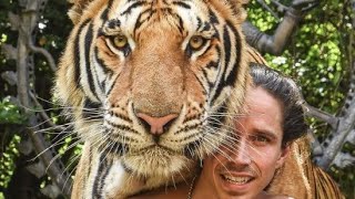 Hanging out with Amba Mamba! The Standard Tiger & Kody Antle by Myrtle Beach Safari 21,008 views 1 year ago 3 minutes, 2 seconds