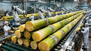 Inside a Modern Cane Sugar Factory: From Raw Sugarcane to Luxury Refined Sugar (Full Process)