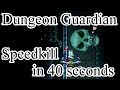 Terraria - Expert Dungeon Guardian Speedkill in 40 seconds