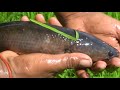 OMG!! Found & Catching a lot of Catfish & Snakehead Fish in Deep Drain Pipe _ Unbelievable Fishing