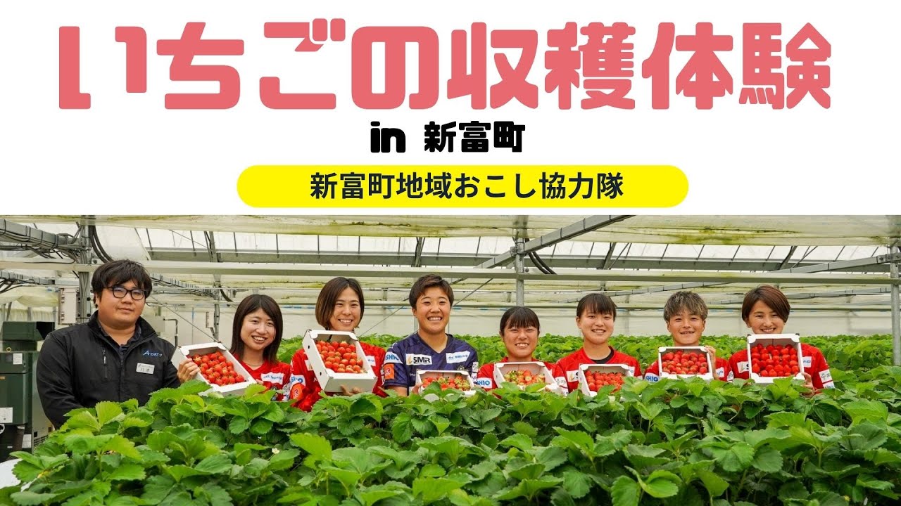 新富町のいちごの美味しさに迫る🍓【新富町地域おこし協力隊】