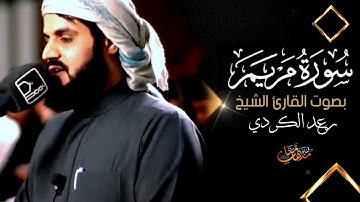 سورة مريم كامله بصوت القارئ الشيخ رعد الكردي
