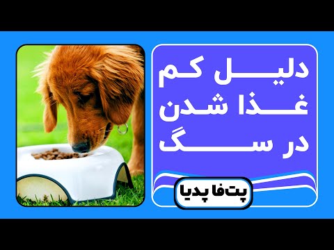 تصویری: در چه واحدهای عباراتی به غذا اشاره شده است