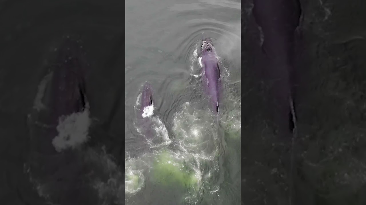 What’s the Weather Like in Alaska’s Inside Passage?