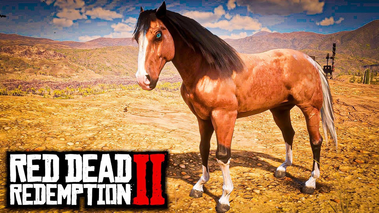 Leather Standardbred Rdr2 STANDARDBREDS AMERICANOS (O COMPÊNDIO pt.2) - RED DEAD REDEMPTION 2 ...