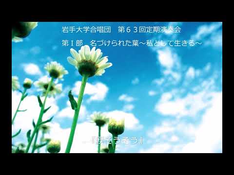 涙そうそう