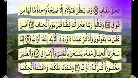 القران الكريم سورة ص من الاية 1 الى الاية 30