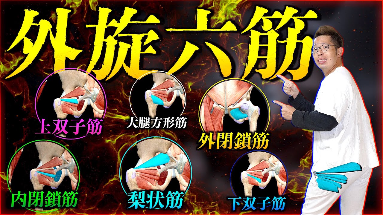 【筋トレ】外旋六筋のすべてを置いてきた動画。