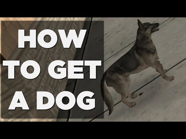 HOW TO GET A DOG IN GTA SAN ANDREAS - YouTube