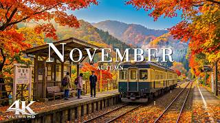 November 4K 🍁 The Magic of Late Autumn | Golden Forests & Relaxing Piano Music