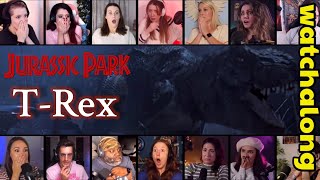 T-Rex Escapes the Paddock | Jurassic Park (1993) First Time Watching Movie Reactions 