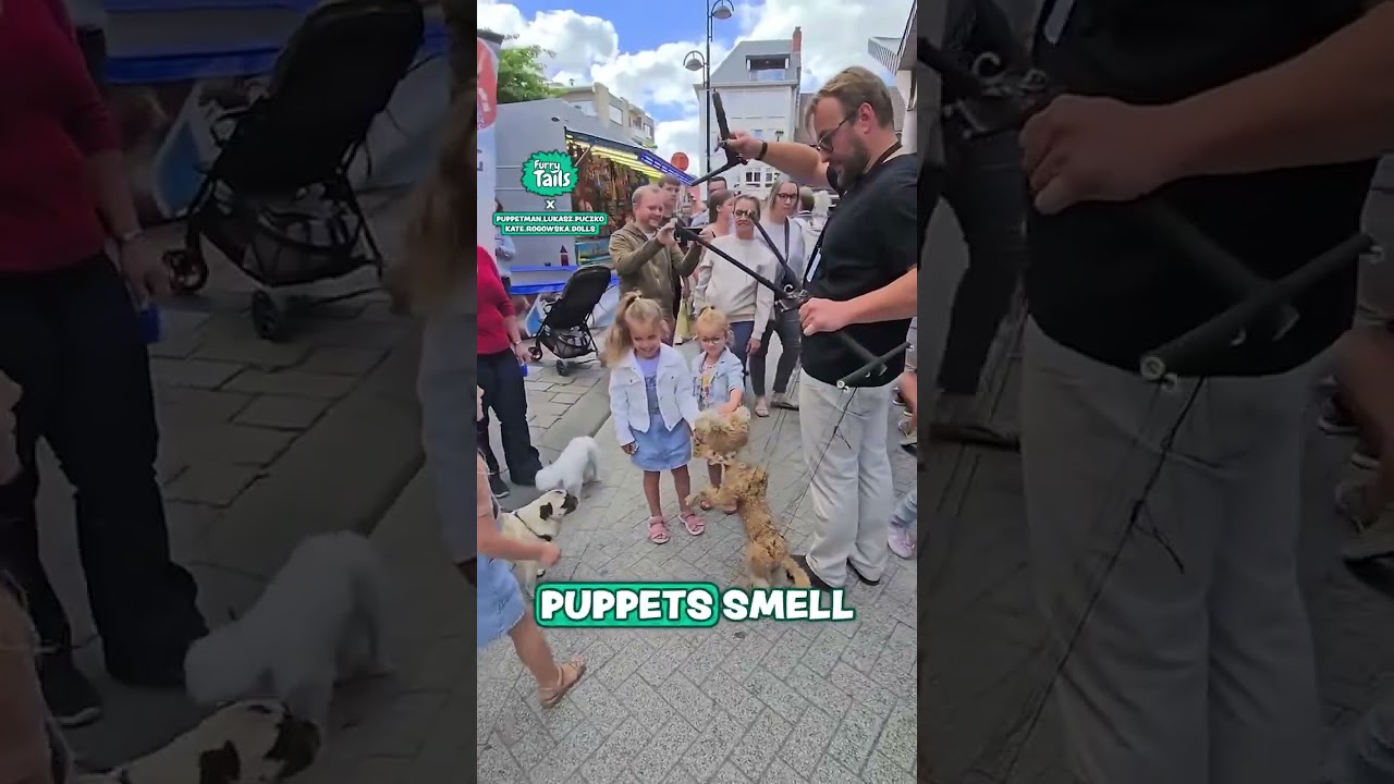 My dog was convinced the puppet dog was real 😅🐶
#dogs #puppet #funny