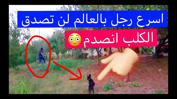 رجل يهرب من الكلب بسرعة 130 كيلو متر بالساعة