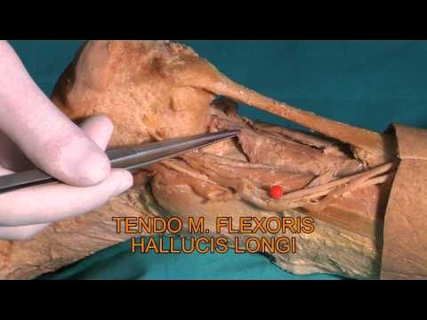 Erkaklar ichki kiyim porno Diktofonga yozilgan jinsiy aloqa