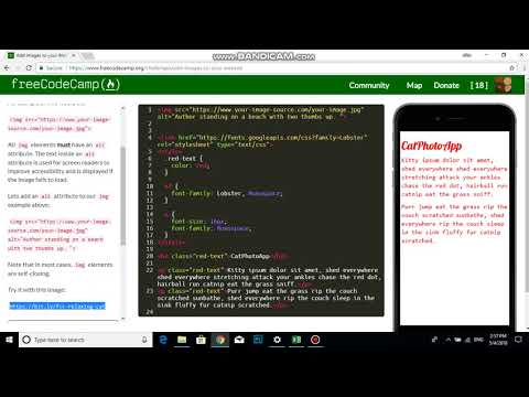 Add Images to your Website   Free Code Camp