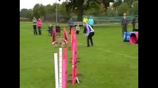 WAO Tryouts 2013 - Jo Tristram & Bitz - 525 Biathlon Jumping