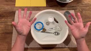 Sink and Float Activity