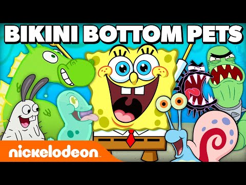 45 MINUTES Of SpongeBob's PETS In Bikini Bottom! | Nickelodeon Cartoon Universe
