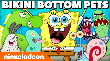 45 MINUTES Of SpongeBob