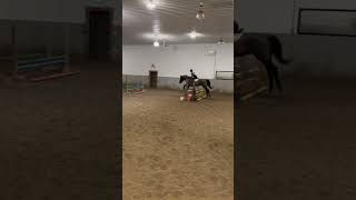 Jumping 2’9 without stirrups