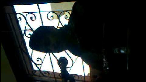 تلاوة رائعة لفضيله الشيخ محمد ابراهيم يحيى الفرشوطى