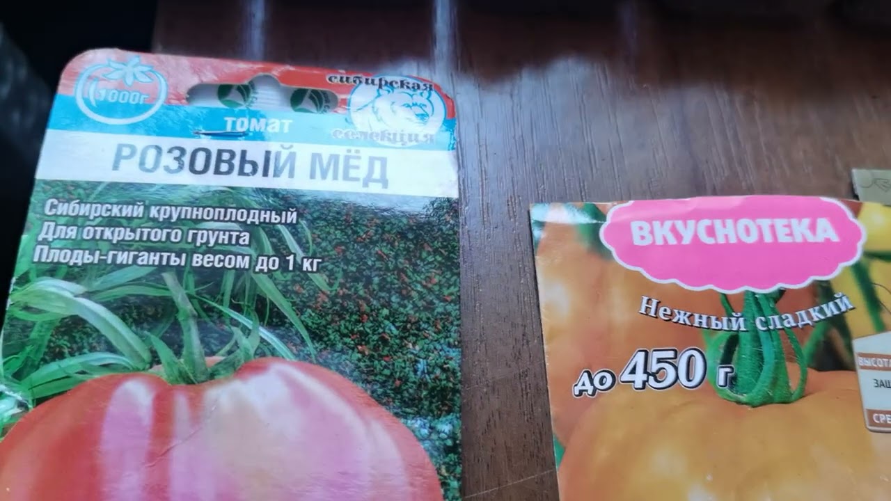 Посеяла семена  перца из покупного перца  и остатки семян томатов.