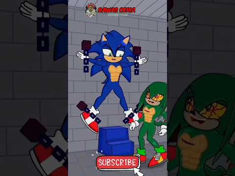 Army Save Sonic _ Zombie Love - Coffin dance song cover
