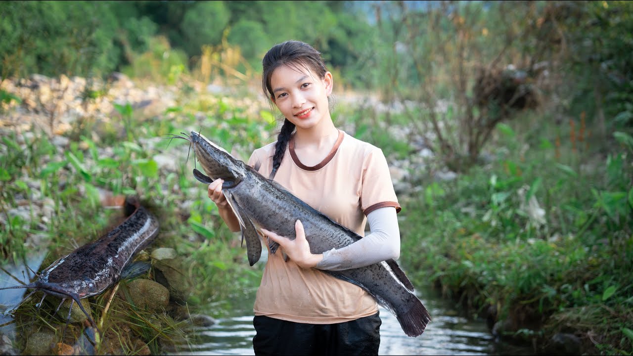 Encounter a huge school of fish - catch fish in a puddle - Animal Care ...