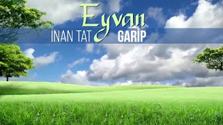 Garip - Enstrumantal Fon Müziği - İnan Tat