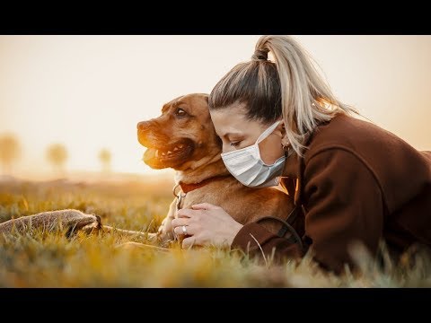 Video: Safety Precautions When Walking Dogs During A Pandemic