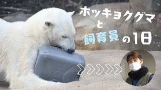 ホッキョクグマの飼育員に一日密着してみた！