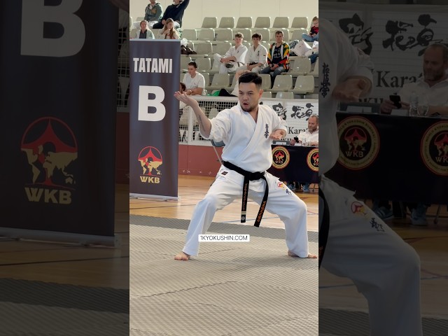 WKB Spanish Open 2026 #kyokushin #shinkyokushin #karate #1kyokushin #一極真 #極真会館