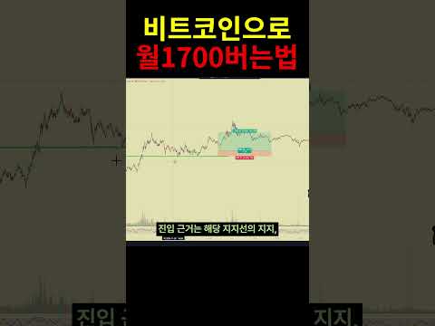 비트코인만 거래해서 월 1700 버는법