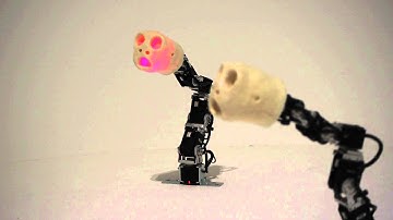 ERGO-ROBOTS - Pierre-Yves Oudeyer & David Lynch - Fondation Cartier 2011-2014