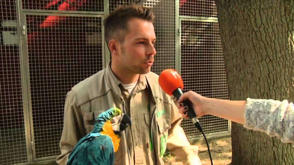 Ein Tag im Weltvogelpark Walsrode