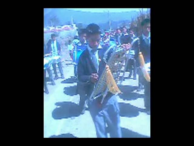 Viejo Pastor Inglés Guatemala - Un saludo a LUCCA hasta San Pedro San  Marcos..! Hermoso 🤩