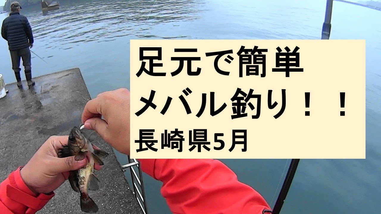 メバリング イカが釣れないのでメバルを簡単に釣る Youtube