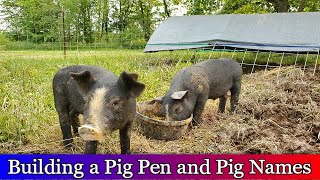 Building a Pig Pen and Moving the Pigs outside into there new home