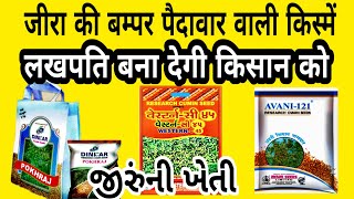 जीरा की ये किस्में किसान को लखपति बना देगी | jeera ki kheti | જીરું ની ખેતી | जिरे लागवड | Cumin