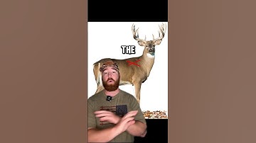 The top 5 WORST places to shoot a deer Pt.2! #hunting #deerhunting #bowhunting