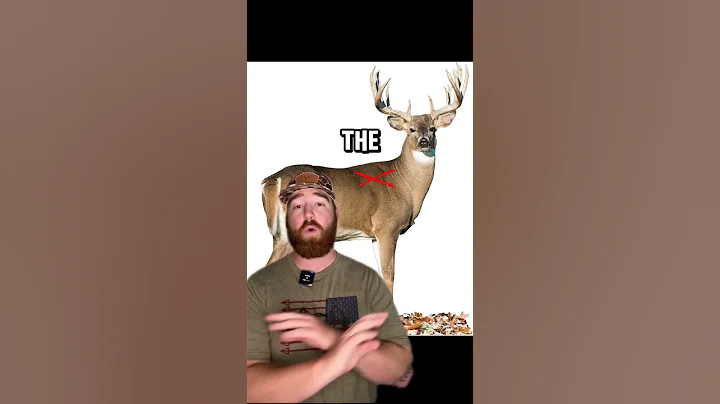 The top 5 WORST places to shoot a deer Pt.2! #hunting #deerhunting #bowhunting