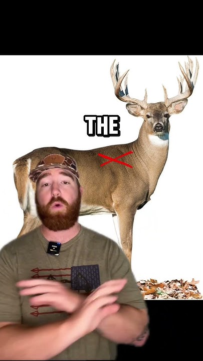 The Top 5 WORST Places To Shoot A Deer Pt 2 hunting deerhunting the-top-5-worst-places-to-shoot-a-deer-pt-2-hunting-deerhunting