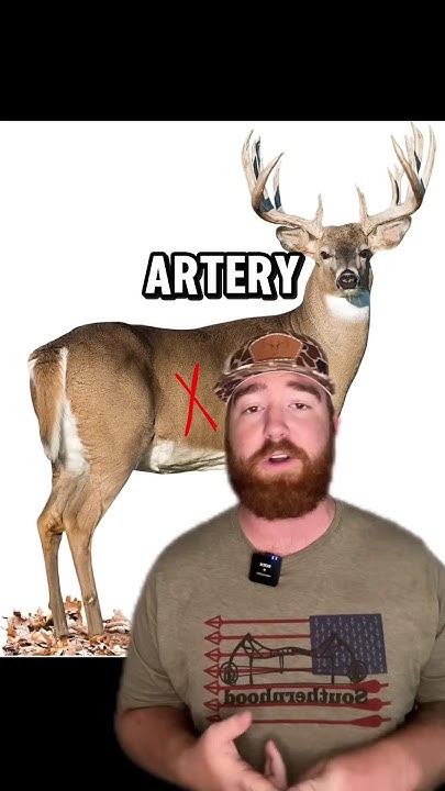 the-top-5-worst-places-to-shoot-a-deer-pt-2-hunting-deerhunting