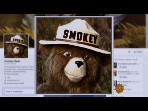 Video: Iconische Smokey Bear wordt 70!