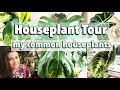 Houseplant Tour Of My Common Plants