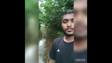 koderma jharkhand forest view