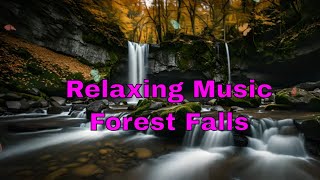 Relaxation & Stress Relief Music Meditation Melodies, Lofi, Jazz, Sleep Music - Forest Falls