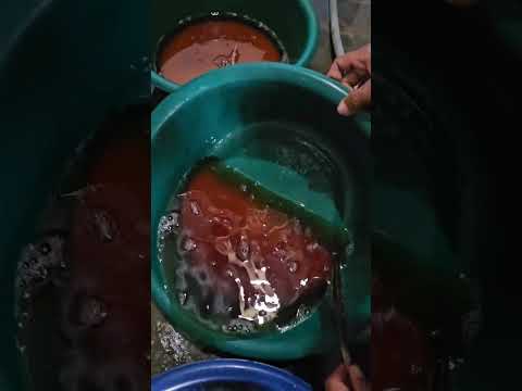 Telur Ikan Patin Manfaat