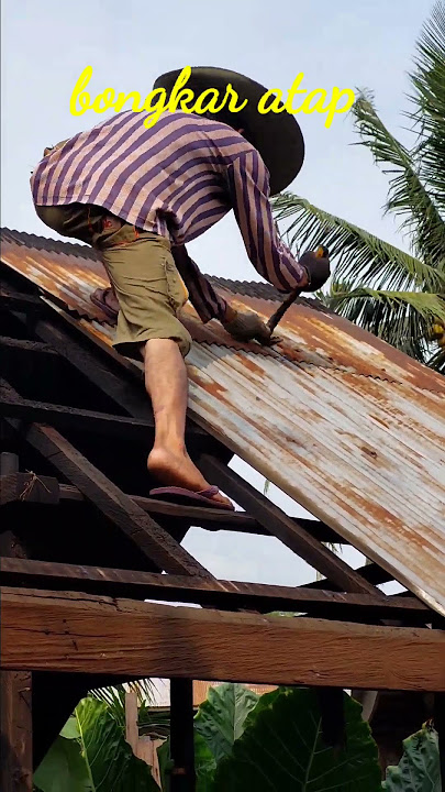 bongkar atap seng