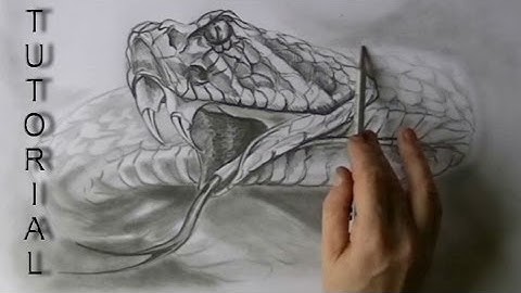 Easy RATTLESNAKE for beginners graphite pencil drawing